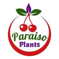 ParaisoPlants