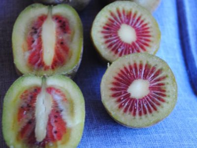 Kiwi Vermelho Chinês