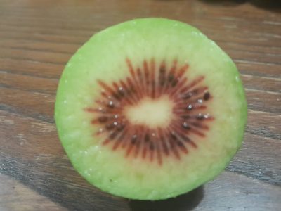 KIWI VERMELHO GRANDE (Macho polinizador)